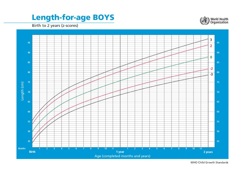 grafik panjang dan tinggi terhadap umur anak menurut who